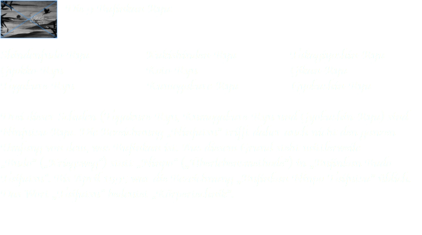 ﷯Die 9 Bujinkan Ryu: Shindenfudo-Ryu Kukishinden-Ryu Takagiyoshin-Ryu Gyokko-Ryu Koto-Ryu Gikan-Ryu Togakure-Ryu Kumogakure-Ryu Gyokushin-Ryu Drei dieser Schulen (Togakure-Ryu, Kumogakure-Ryu und Gyokushin-Ryu) sind Ninjutsu-Ryu. Die Bezeichnung „Ninjutsu” trifft daher auch nicht den ganzen Umfang von dem, was Bujinkan ist. Aus diesem Grund steht mittlerweile „Budo” („Kriegsweg”) statt „Ninpo” („Überlebensmethode”) in „Bujinkan Budo Taijutsu”. Bis April 1995 war die Bezeichnung „Bujinkan Ninpo Taijutsu” üblich. Das Wort „Taijutsu” bedeutet „Körpertechnik”. 