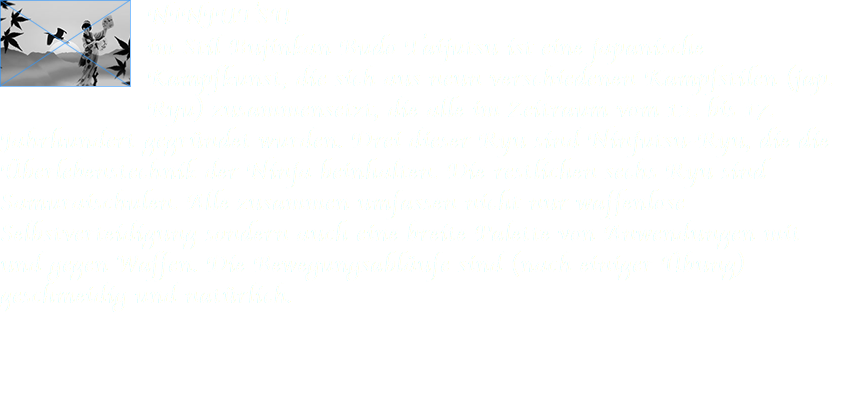 ﷯NINJUTSU im Stil Bujinkan Budo Taijutsu ist eine japanische Kampfkunst, die sich aus neun verschiedenen Kampfstilen (jap. Ryu) zusammensetzt, die alle im Zeitraum vom 12. bis 17. Jahrhundert gegründet wurden. Drei dieser Ryu sind Ninjutsu-Ryu, die die Überlebenstechnik der Ninja beinhalten. Die restlichen sechs Ryu sind Samuraischulen. Alle zusammen umfassen nicht nur waffenlose Selbstverteidigung sondern auch eine breite Palette von Anwendungen mit und gegen Waffen. Die Bewegungsabläufe sind (nach einiger Übung) geschmeidig und natürlich. 