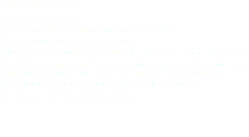 八級 Hachikyu (8. Kyu) Gürtel: Grüner oder roter Gürtel. Abzeichen: Bujinkan-Emblem mit weißen Schriftzug, darüber ein Silberstern. Kenntnisse: Auswirkungen von angewandten Techniken. Fallen: Falltechniken auf weichem Untergrund (Ukemi): nach vorne, nach hinten und zu beiden Seiten. Kata: Chi No Kata (Sanshin No Kata 1); Sui No Kata (Sanshin No Kata 2); Ka No Kata (Sanshin No Kata 3); Ura Gyaku No Kata (Kihon Happo 6);Omote Gyaku Soshite Tsuki Kata (Kihon Happo 5). Schlagtechniken: Shikan Ken (Fingerknöchelstoß); San-Shitanken (Dreifingerstoß). Wurftechniken: Osoto Nage / Osoto Gake (Außenwurf) 